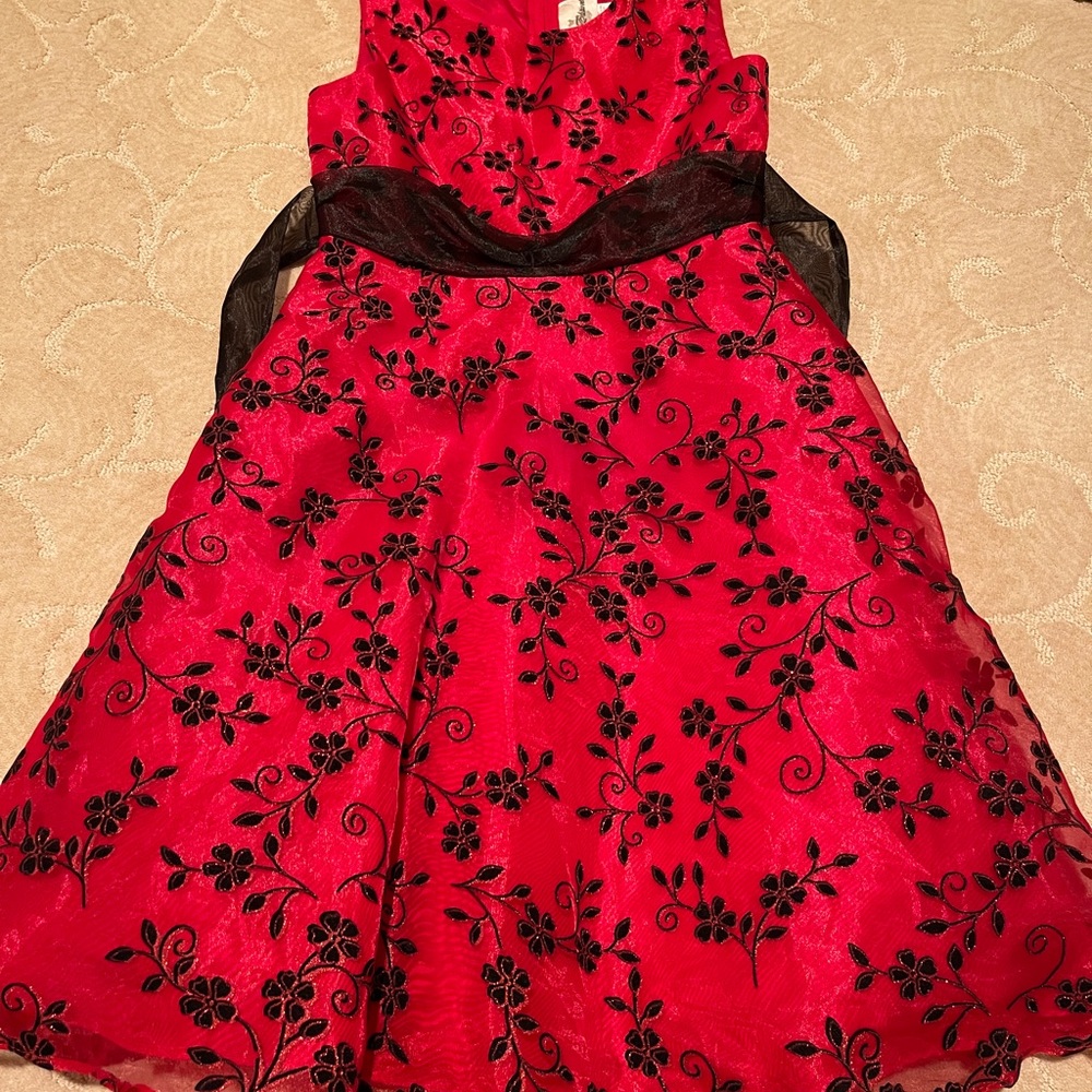 Girls holiday dress. Size 10